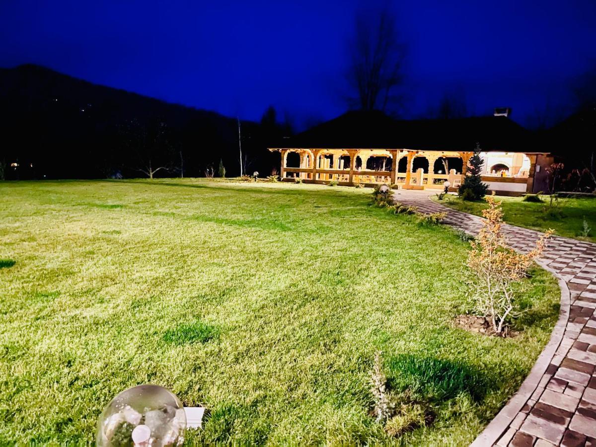 Pensiunea Coronita Vişeu de Sus Εξωτερικό φωτογραφία