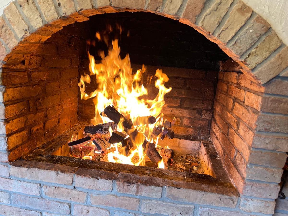 Pensiunea Coronita Vişeu de Sus Εξωτερικό φωτογραφία