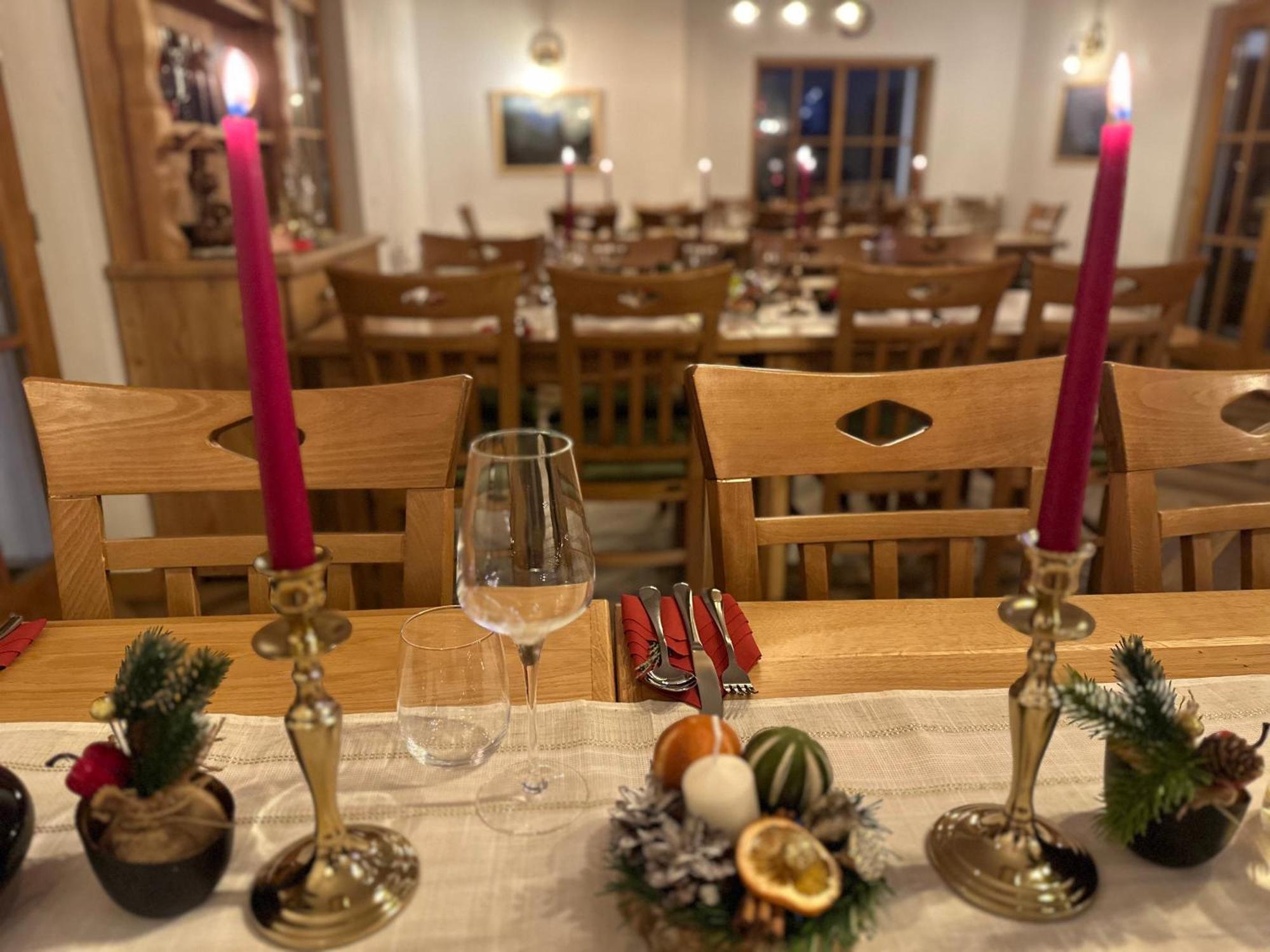 Pensiunea Coronita Vişeu de Sus Εξωτερικό φωτογραφία